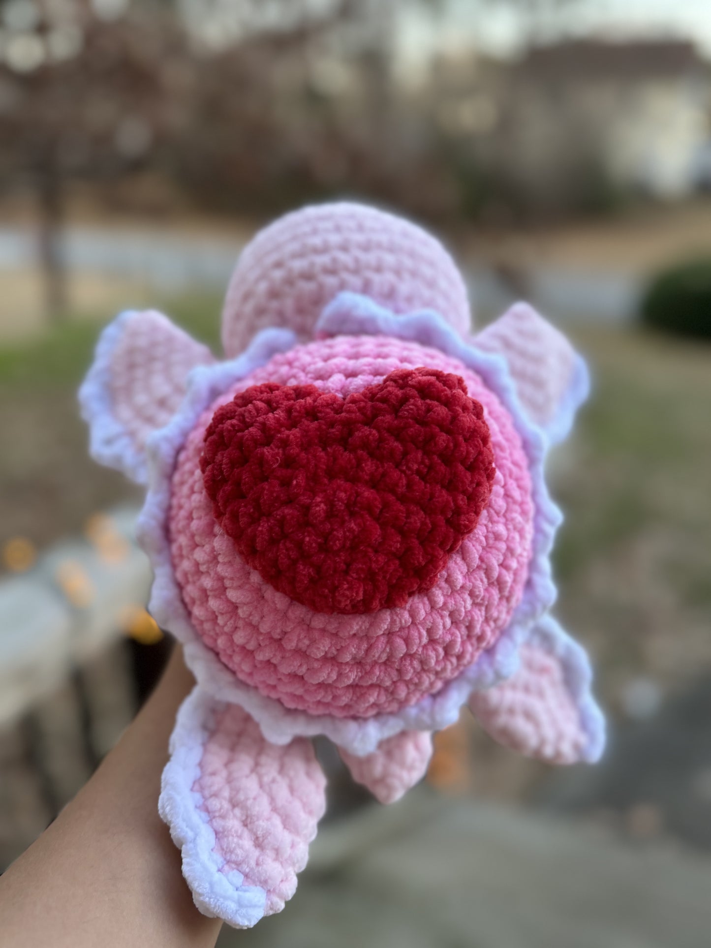 Valentine’s Day Heart Turtle